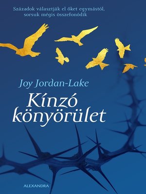 cover image of Kinzó könyörület